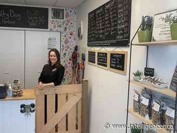 Downtown District BIA launches Associate Membership Program - Belleville Intelligencer