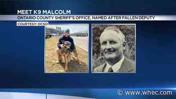 Ontario County Sheriff's Office gets new K9