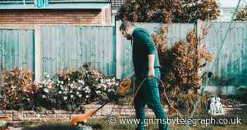 Seven steps to bring your lawn back to life after winter - Grimsby Live