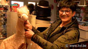 Voor carnavalswinkels komt code geel net te laat - TV Limburg