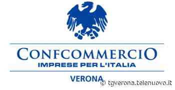Fiera San Marco a San Bonifacio, Confcommercio a Provoli: Preoccupazione per nuova sede - TG Verona