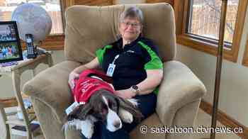 'We have proof': Saskatoon study shows how therapy dogs help ER patients - CTV News Saskatoon