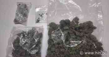 Cannabis gevonden bij huiszoeking na fouille van jongeman - Het Laatste Nieuws