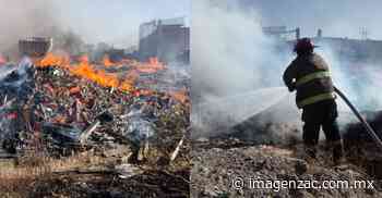 Se registra incendio en lotes baldíos de la zona Centro de Fresnillo - Imagen de Zacatecas, el periódico de los zacatecanos