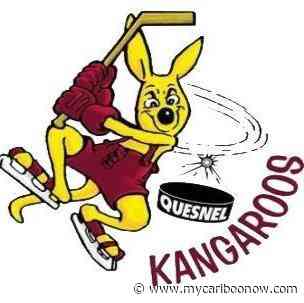 Quesnel Kangaroos seek third straight title - mycariboonow.com