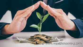 Lessons from a Wealthy Gardener - Wealth Morning