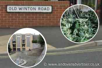 Man, 34, who was 'gardener' of 120 cannabis plants spared prison - Andover Advertiser