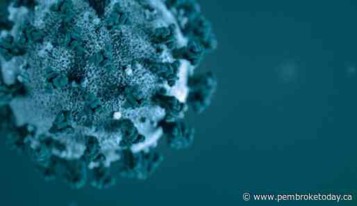 No COVID-19 deaths reported in Renfrew County and District in the last week - PembrokeToday.ca