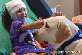 Corso di pet therapy al Parco delle Groane - Prima Saronno