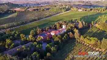 A spasso nel paradiso: escursione tra le colline tra Bertinoro e Massa di Cesena - ForlìToday