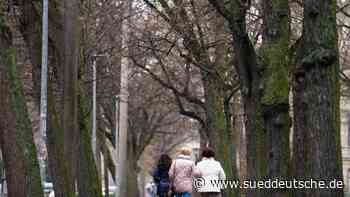 Baustelle statt Grünland: App zeigt mangelnden Ausgleich - Süddeutsche Zeitung - SZ.de