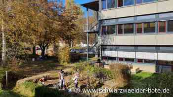 Albeck-Gymnasium in Sulz - Schulgarten soll vom Dschungel zum Ruheort werden - Schwarzwälder Bote