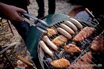 Ist das Grillverbot am Aasee die richtige Entscheidung?