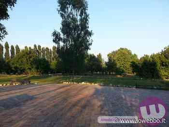 SORA - UN ALBERO COME SEGNO DI CURA E RESPONSABILITA' - ioWebbo