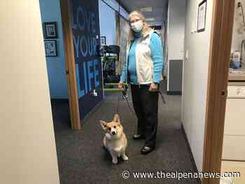 Female business owner enjoys working in physical therapy - Alpena News