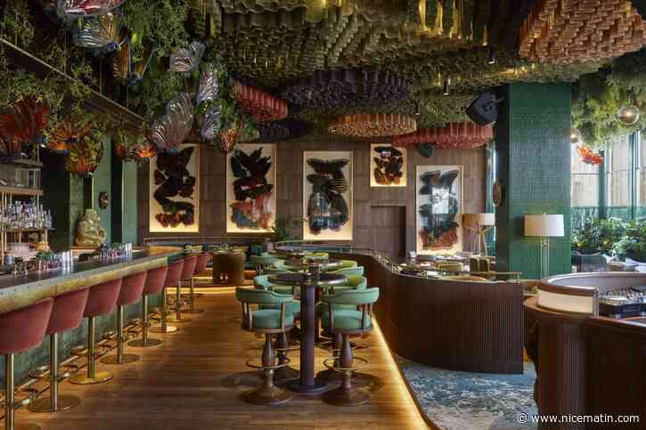 Après Madrid, Londres et Dubaï, Amazonico s’installera à Monaco sur le toit du Café de Paris