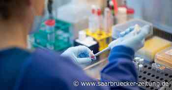 Landkreis Merzig-Wadern meldet 307 neue Corona-Fälle und eine Tote - Saarbrücker Zeitung