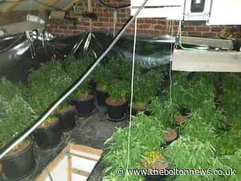 Large cannabis farm 'destroyed' in Radcliffe - The Bolton News