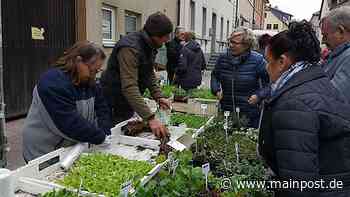 Attraktivität der Märkte in Bischofsheim erhöhen - Main-Post