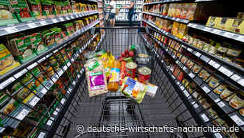 Transportbranche schlägt Alarm: „Es droht die schlimmste Versorgungskrise seit 70 Jahren“