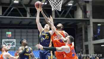 Stingers desperate for wins in makeshift Calgary home at Basketball Champions League Americas - CBC Sports