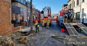 Brandweer moet boom verwijderen na breuk in waterleiding - Het Laatste Nieuws