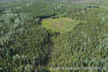 OGC marks orphan wells milestone - Dawson Creek Mirror