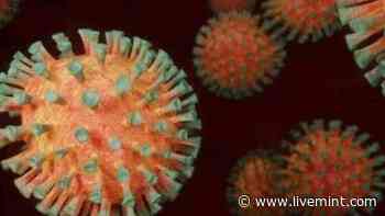 Can be a problem if...: Indian scientist explains Omicron + Delta recombinant virus - Mint