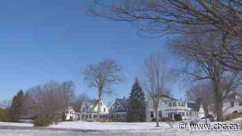 Group trying to revive old Fredericton neighbourhood asks for 'historical' designation - CBC.ca