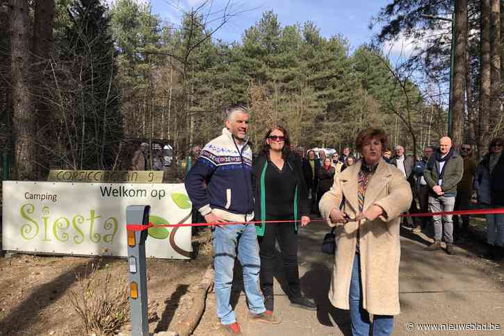 Camping Siësta opent gloednieuw kampeerveld: “We willen nog altijd de mooiste van de Kempen worden”