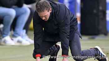 Chancen-Wucher in Hoffenheim? Nagelsmanns ominöses Haar-Problem und der „furztrockene Rasen“