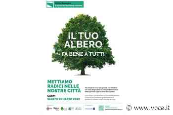 Anche Carpi mette radici per il futuro Attualità - Voce.it