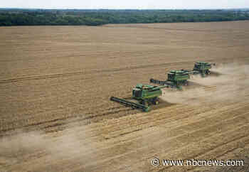 Global wheat supplies in peril as war brings risk of food shortages worldwide