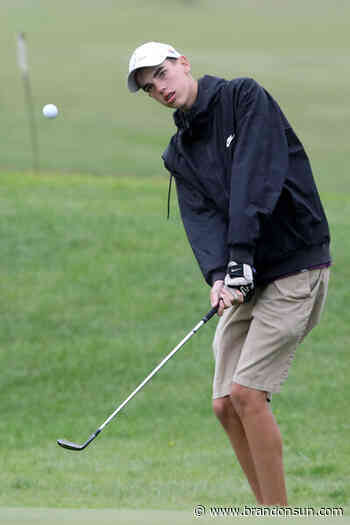 Plainsmen star Hargreaves commits to Cougars - The Brandon Sun