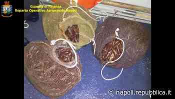 Scempio dei faraglioni di Capri: il capo dei "datterari" condannato a sei anni - La Repubblica