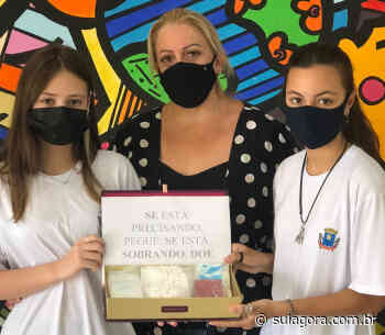 Estudantes de Capivari de Baixo lançam projeto 'caixinha de absorventes' - Sul Agora