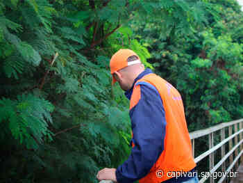 Saiba em quais casos acionar a Defesa Civil - Prefeitura de Capivari (.gov)