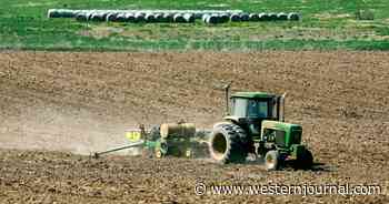 No One Is Talking About the Mass Food Shortage and Grocery Bill Increases US Is Barreling Toward