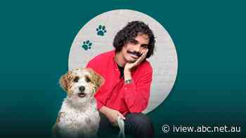 A Dog's World With Tony Armstrong - ABC iview