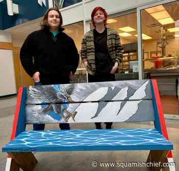 Where did all the cool painted Squamish benches come from? - Squamish Chief