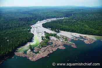 Third engineer disciplined in Mount Polley tailings dam failure - Squamish Chief
