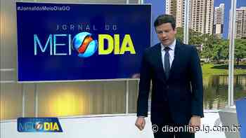 Mulher mata gato em Trindade jogando um pedaço de concreto na cabeça do animal - Dia Online