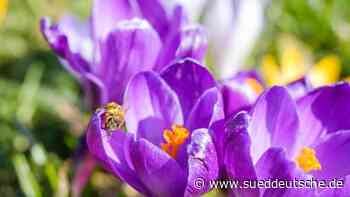 Wetter - Essen - Mix aus Sonne und Wolken in NRW - Panorama - Süddeutsche Zeitung - SZ.de
