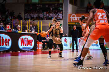 Pallacanestro serie A1, La Molisana Magnolia Campobasso all'Arena riceve il Moncalieri - CBlive - La città di Campobasso in diretta