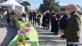Padova, un appello per la pace dalla Primavera in Prato - Video
