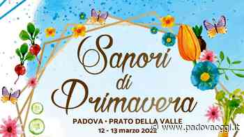 Mostra mercato "Sapori di Primavera 2022" in Prato della Valle - PadovaOggi