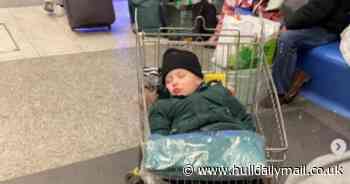 Hull man's heartbreaking photo of Ukrainian child refugee - Hull Live