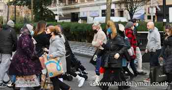 Hull residents reveal whether or not they will self-isolate if they get Covid - Hull Live
