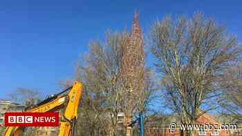 Hull Queens Gardens: First tree planted in £12m city park revamp - BBC.com