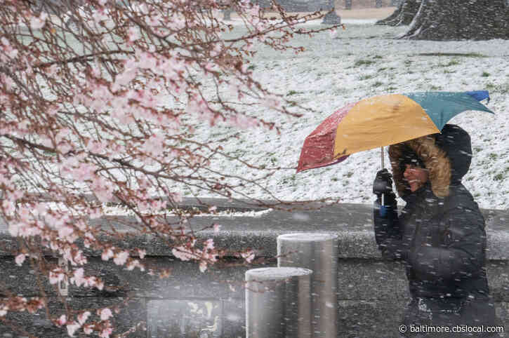 Winter Weather Woes: Maryland Sees Wind Gusts And Snow